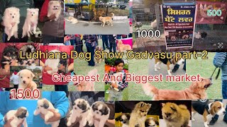 Ludhiana Dog show Gadvasu part2 biggest and cheapest Dog market [upl. by Ghiselin]