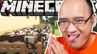 JAI CAPTURÉ MES PREMIERS ANIMAUX SUR MINECRAFT REAL LIFE [upl. by Trow]