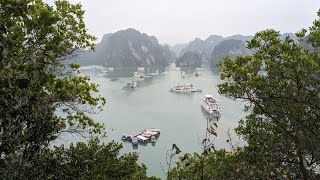 Ambassador Cruise Halong Bay Adventure [upl. by Enihsnus]