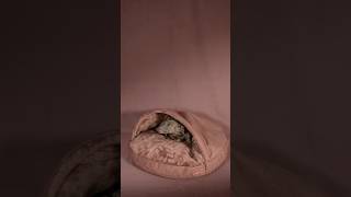 🌸 Introducing the DG COMFY CAVE dog bed LISCIO 🌸dgdoggear greyhound dogbed [upl. by Earla]