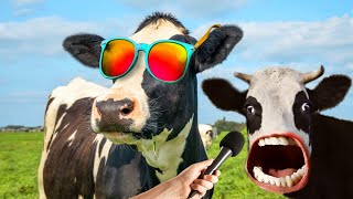 FUNNY COW DANCE FOR 13 MINUTES STRAIGHT 40  Cow Song amp Cow Videos 2024  cow sound  dancing cow [upl. by Ahsekal919]