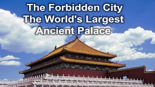 The Forbidden City The Worlds Largest Ancient Palace history facts chinesehistory beijing [upl. by Acirrehs]