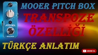 MOOERPITCH BOX  Transpoze Özelliği [upl. by Alita]