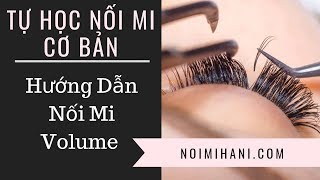 Dạy Học Cách Nối Mi Volume Cơ Bản  Video Trọn Bộ Full [upl. by Lyrrehs]