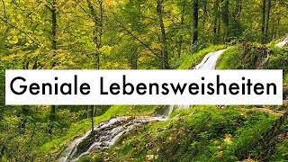 Geniale Lebensweisheiten  Witzige Zitate amp Weisheiten des Lebens [upl. by Lebbie]