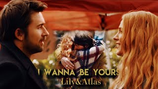 Lily amp Atlas  Their story [upl. by Barbara-Anne372]