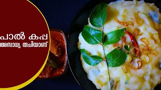 പാല്‍ കപ്പ കൊതിപ്പിക്കും രുചി  paal kappa recipe in malayalam  Tapioca in Coconut Milk Vlog 66 [upl. by Ateekram166]