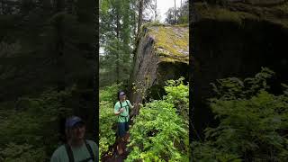 Glaciation is the process of being covered by glaciers history geology outdoors explore vlog [upl. by Kora]