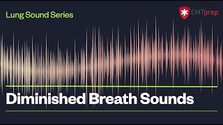 Diminished Breath Sounds  EMTprepcom [upl. by Ahsha44]