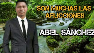 ABÉL SÁNCHEZ SON MUCHAS LAS AFLICCIONES [upl. by Drarej170]