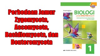 Perbedaan Jamur Zygomycota Ascomycota Basidiomycota dan Deuteromycota [upl. by Gronseth562]