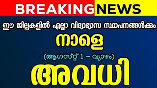 നാളെ അവധി പ്രഖ്യാപിച്ചു  BIG BREAKING NEWS  Kerala School Holiday Tomorrow [upl. by Nahc]