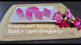 Traditional Nyonya Kuih Lapis 9 Layered [upl. by Gemoets]