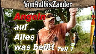 Angeln auf Alles was beißt Teil 1 Barsch Brassen [upl. by Ordnael]