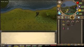 Runescape  You will need to wash the old ash off your spade when you dig here [upl. by Regina]