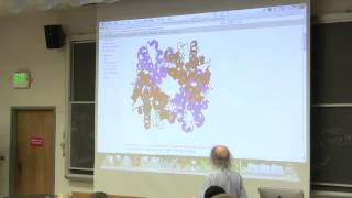 6 Biochemistry Lecture Hemoglobin from Kevin Aherns BB 350 [upl. by Mehala]