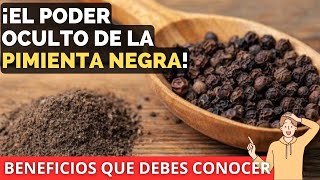 Beneficios de la Pimienta Negra Propiedades y Usos para la Salud  Especia Saludable shorts salud [upl. by Yrian]