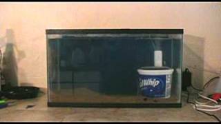 DIY aquarium filter idea 1 [upl. by Grote]