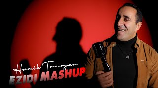 Hamik Tamoyan  EZIDI MASHUP 2  2024 [upl. by Elwood]