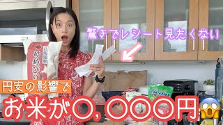 【親子で留学中】ハワイにある日系スーパーで買い出し！🥑【比較】 [upl. by Adigirb651]