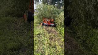 TREX 44 SLOPE MOWER VS BRANCH WHO WILL WIN [upl. by Yromem]