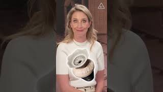 Rebecca Ferguson reacts to the Dune popcorn bucket Dune DunePartTwo [upl. by Varion]