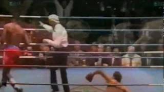 Lennox Lewis Knockouts amp Highlights [upl. by Drallim220]