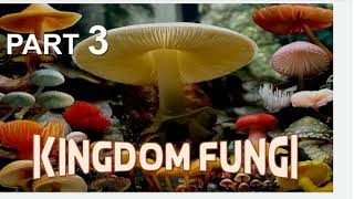 Biological classification Kingdom fungiMycota [upl. by Ferino293]