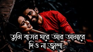 Tumi Basor Ghore Ar Amare Dio Na Jala  Slowed amp Reverb  বাসর ঘরের জ্বালা [upl. by Herates506]