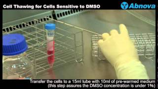 Cell Thawing for Cells Sensitive to DMSO [upl. by Stalder]