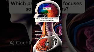 BIO special question ⁉️⁉️⁉️DepthGyan quiz biologyexamanatomybiologyshortsytshorts [upl. by Salot]