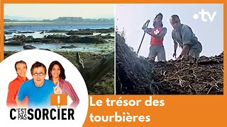 Le trésor des tourbières  Cest pas sorcier Intégrale [upl. by Sellma]