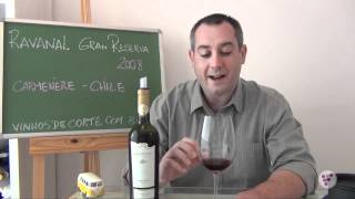 Ravanal Gran Reserva Carmenere 2008 [upl. by Vivle]