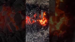 Jamaican kind a fan the fire shorts shortsvideo fire jamaica jamaicanfood [upl. by Aronid]