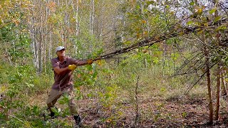 Bringing Back the View  Part 4  Clearing Brush Between Our House and the Horse Pasture [upl. by Mieka]