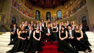 Eric Whitacre quotLux Aurumquequot Stanford Chamber ChoraleChoir of Royal Holloway [upl. by Annekim]