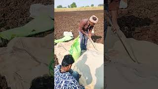 Organic Biofertilizer जैविक [upl. by Nitsraek]