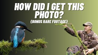 Creating the Perfect Setup for Kingfisher Photos Plus Rare Footage and Channel Update [upl. by Yehudi]