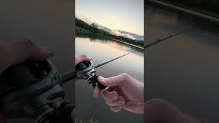 Whopper Plopper methods [upl. by Yztim1]