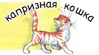 сказка про кошку  капризная кошка Сутеев ВГ  сказка на ночь развивающая сказка [upl. by Margy136]