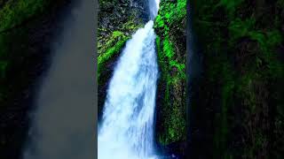 Wahclella Falls Oregon oregon waterfall nature mountains fyp fypage hiking [upl. by Mcgee]