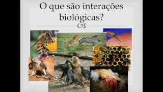 Interações Ecológicas Parte 1 [upl. by Atinid]