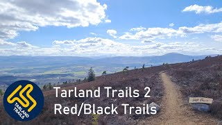 Tarland Trails 2 RedBlack Trails Opening Weekend [upl. by Mohorva542]