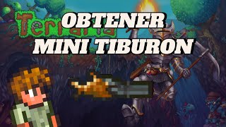 Cómo conseguir la Mini Tiburón en Terraria [upl. by Katzman]