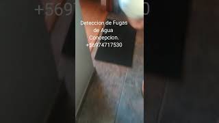 Detección de fugas de agua en Concepción 56974717530 [upl. by Oralia]