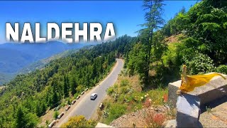 NALDEHRA Near Shimla NATURE TREAT Best picture Perfect place  JUST 40 min FAR [upl. by Aikam]