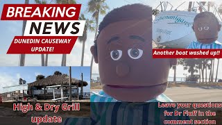 Dunedin causeway update and update on the High and Dry Grill restaurant with Dr Fluff [upl. by Maddeu391]