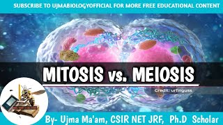 MITOSIS vs Meiosis  what is mitosis and meiosis  difference between Meiosis and mitosis [upl. by Dnomayd]