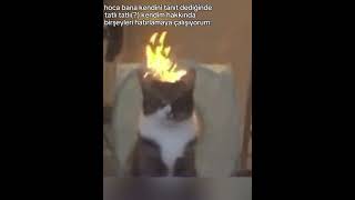 Kendim hakkında herşeyi unuttm bu günamaya keşfetkpopbtsarmyfunnycatfypシ゚viral [upl. by Pollak]