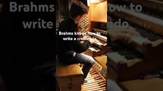 brahms organist classicalmusic crescendo [upl. by Fancie]